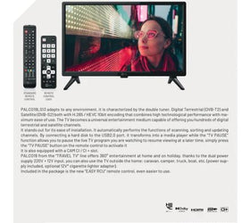 Full HD TV 19 tum 12V DC 100-240V för båt husvagn husbil DVB-T2 DVB-S2 VESA 100x100 PALCO 19LS13