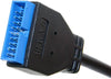 Type E to 20pin adapter 30cm