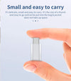 USBC C hane till Lightning ho (Non MFI) adapter silver