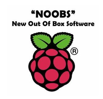 32GB Micro SD – Class A1 – NOOBS